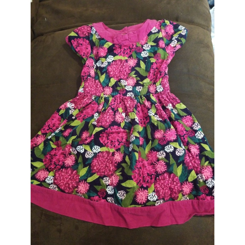 Gymboree plum pony floral dress 5t